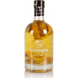 Ti Arrangé - Lulo Latino...