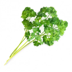 Lingot Persil Frisé Bio -...