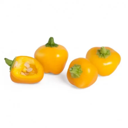 Lingot Mini Poivron Jaune...