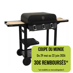 Barbecue Gaz Flavo 60 SC -...