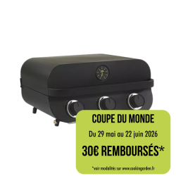 Barbecue Gaz Flavo 60 -...