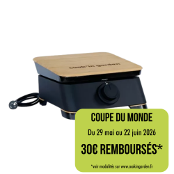 Plancha Electrique Dune 40...
