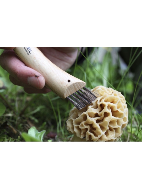 2 couteau à champignon Opinel 8 cm - Opinel