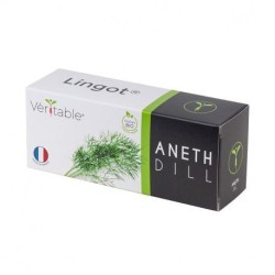 Lingot Aneth - Potager Véritable