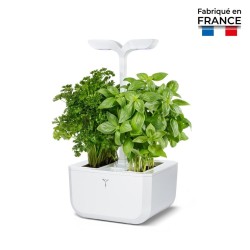 Potager Exky® CLASSIC
