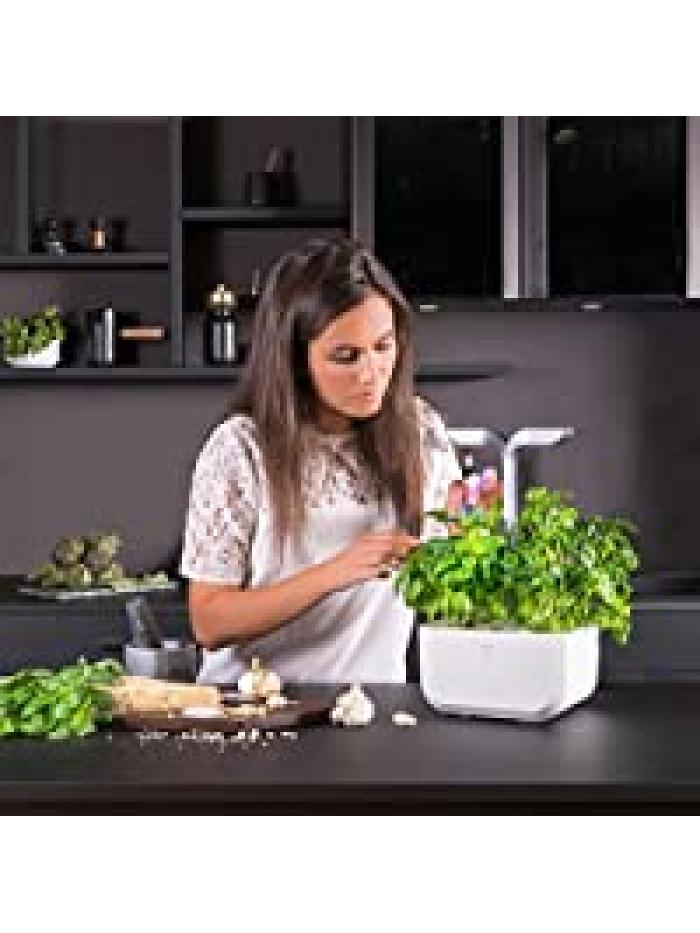 Potager Exky® CLASSIC