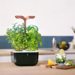 Potager Exky® SMART Copper