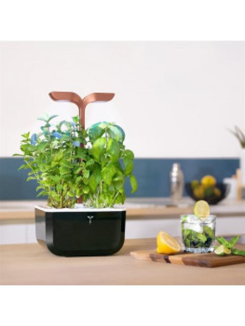 Potager Exky® SMART Copper