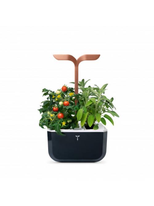 Potager Exky® SMART Copper