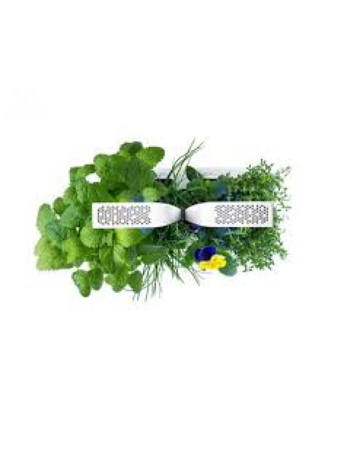 Potager Véritable® SMART Soft Black