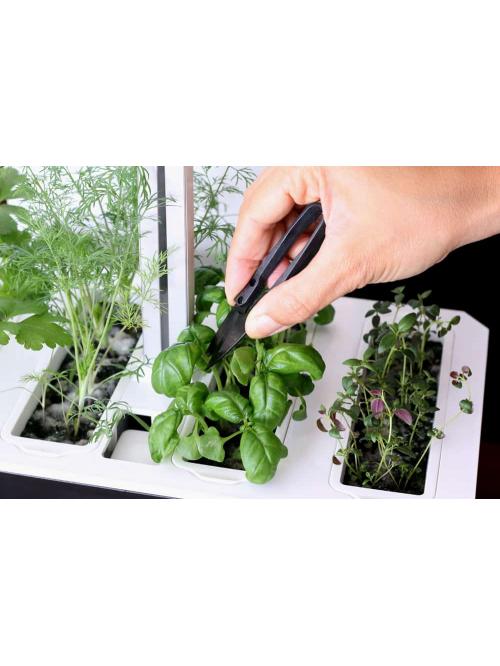 Potager Véritable® SMART Soft Black