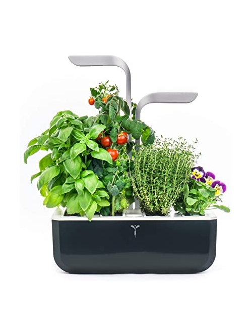 Potager Véritable® SMART Soft Black