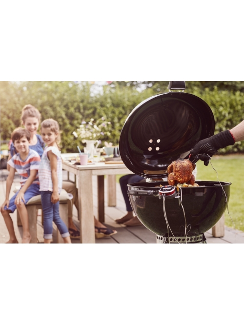 Barbecue Weber Master Touch Premium SE E-5775 BLK en Promotion