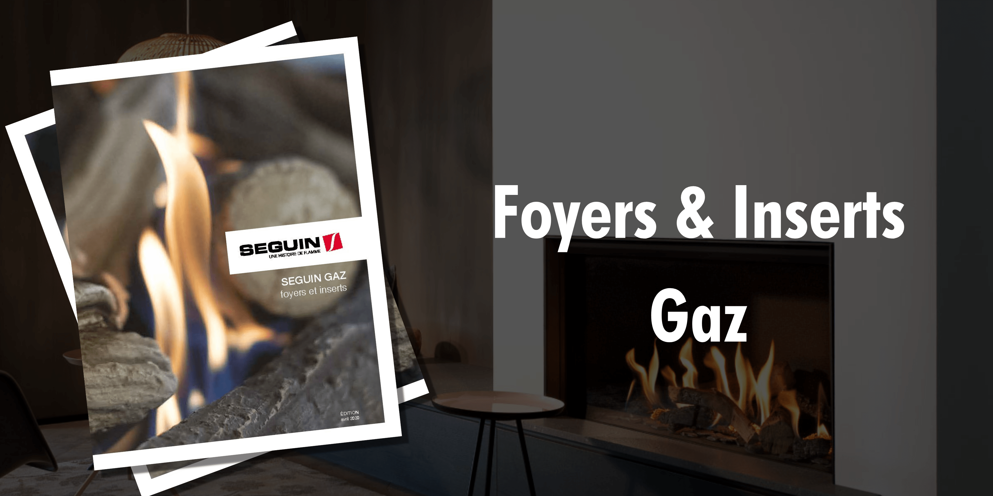 Foyers et Inserts Gaz