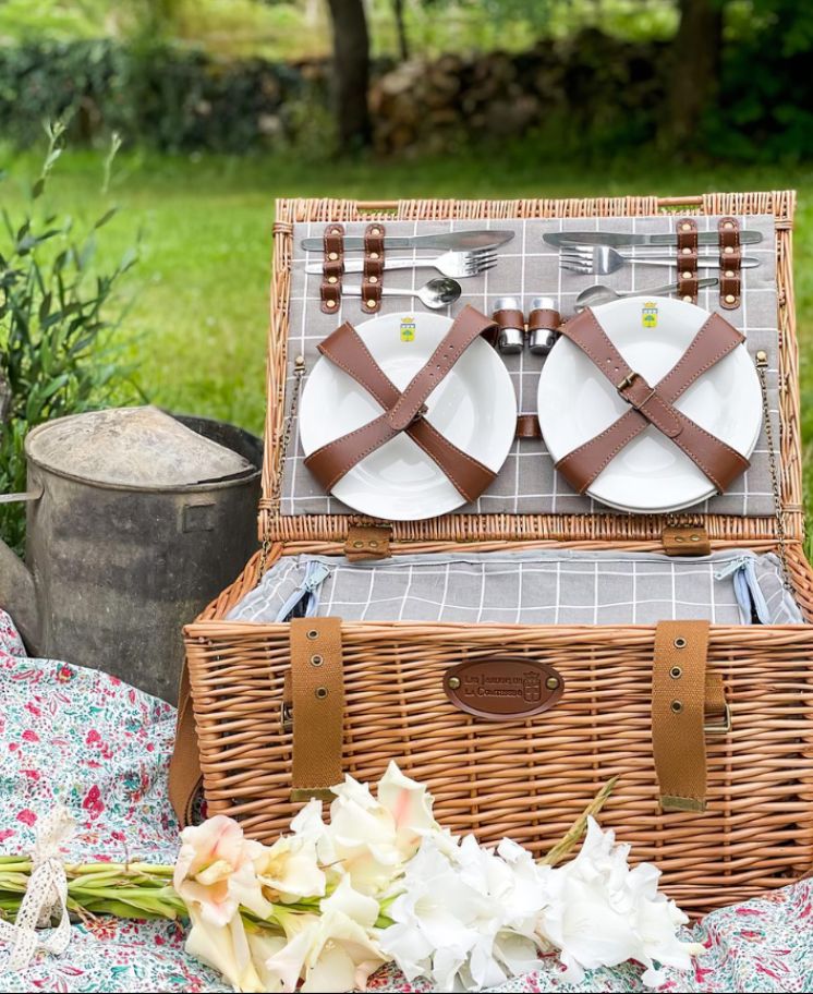 Cuisinière bois de haute qualité Demanincor D6 avec plan de cuisson en  fonte intégrable - Lot et Garonne (47) à Guérin